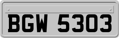 BGW5303
