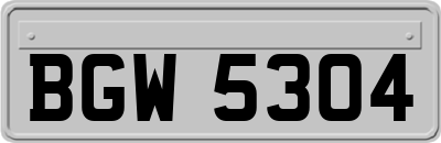 BGW5304