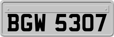 BGW5307