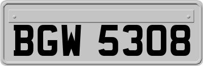 BGW5308