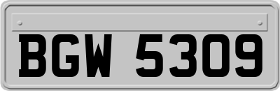 BGW5309