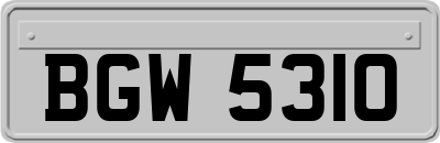 BGW5310