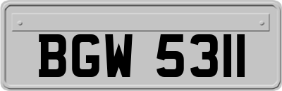 BGW5311