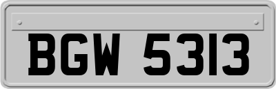 BGW5313