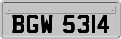 BGW5314