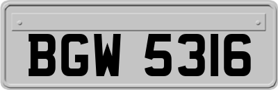 BGW5316