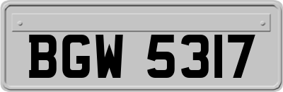 BGW5317