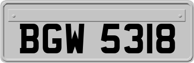BGW5318