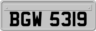 BGW5319