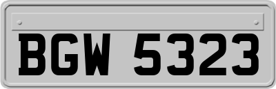 BGW5323