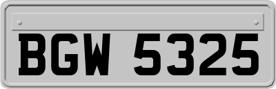 BGW5325