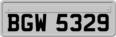 BGW5329