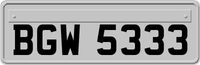 BGW5333