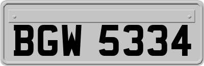 BGW5334