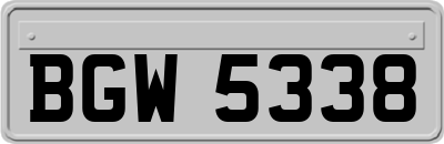 BGW5338