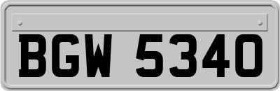 BGW5340