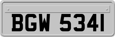 BGW5341