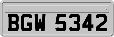 BGW5342