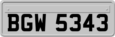 BGW5343