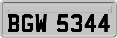 BGW5344