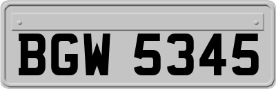 BGW5345