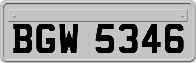 BGW5346