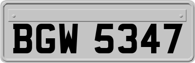 BGW5347