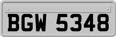BGW5348