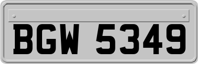 BGW5349