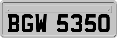 BGW5350