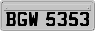BGW5353