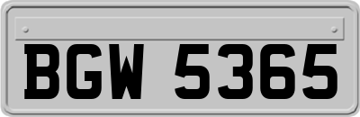 BGW5365