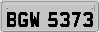 BGW5373