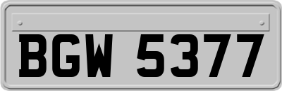 BGW5377