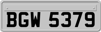 BGW5379