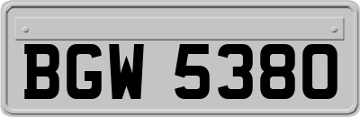 BGW5380