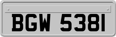 BGW5381