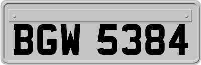 BGW5384