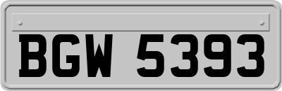 BGW5393