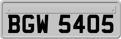 BGW5405