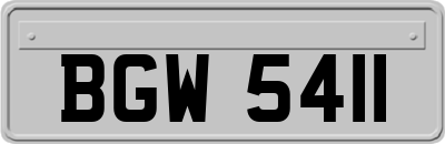 BGW5411