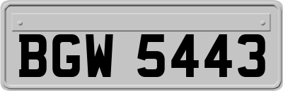 BGW5443