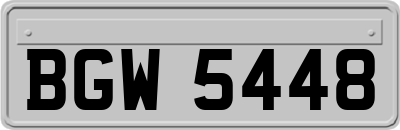 BGW5448