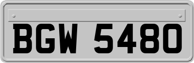 BGW5480
