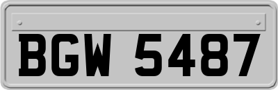 BGW5487