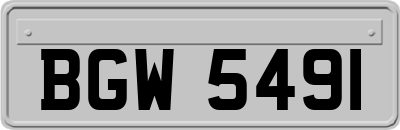 BGW5491