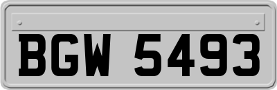 BGW5493