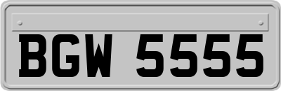 BGW5555