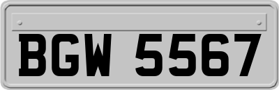 BGW5567