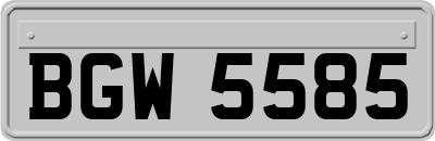 BGW5585